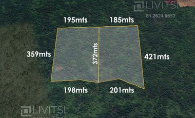 Terreno en Venta en Venta  en Seye