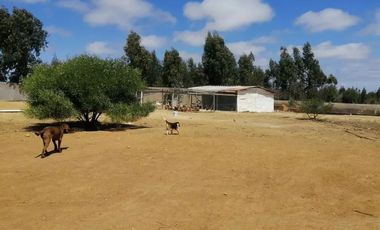 Venta De Parcela Con Casa En Fundo Loma Verde, Algarrobo