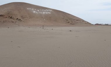 REMATE. Terrenos en Venta en Cerro Azul - Desde 1 hasta 10 Hectáreas Contiguas