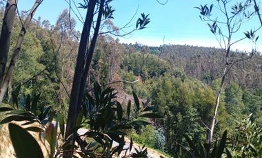 5000 m2 a 20 minutos de Concepción