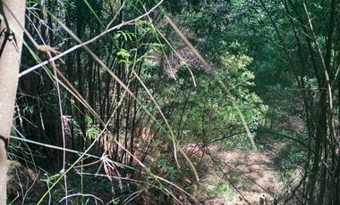 5000 m2 a 20 minutos de Concepción