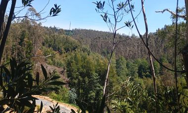 5000 m2 a 20 minutos de Concepción