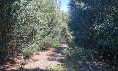 5000 m2 a 20 minutos de Concepción