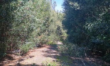 5000 m2 a 20 minutos de Concepción