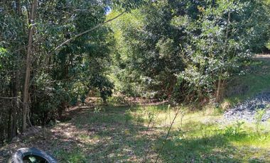 5000 m2 a 20 minutos de Concepción