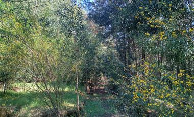 5000 m2 a 20 minutos de Concepción