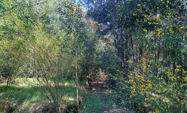 5000 m2 a 20 minutos de Concepción