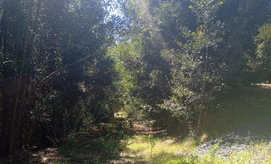 5000 m2 a 20 minutos de Concepción