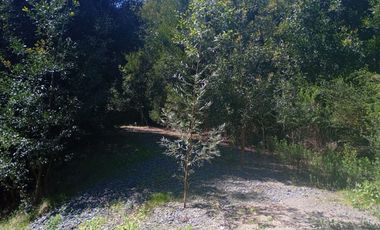 5000 m2 a 20 minutos de Concepción