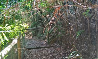 5000 m2 a 20 minutos de Concepción