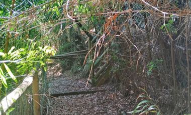 5000 m2 a 20 minutos de Concepción