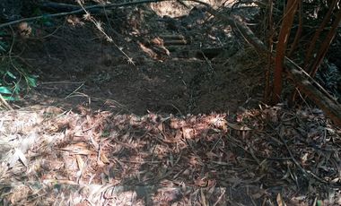 5000 m2 a 20 minutos de Concepción