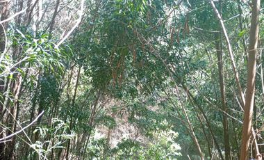 5000 m2 a 20 minutos de Concepción