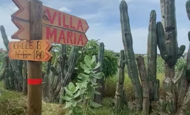 LOTE EN VENTA - SABANILLA