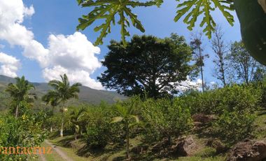 PARCELA DE SUELO SUB-URBANO LINDANTE CON RÍO