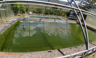 PARCELA DE SUELO SUB-URBANO LINDANTE CON RÍO