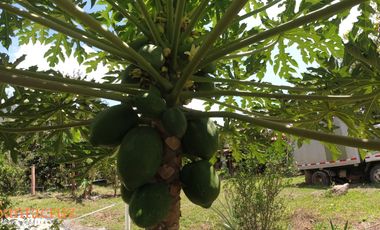 PARCELA DE SUELO SUB-URBANO LINDANTE CON RÍO