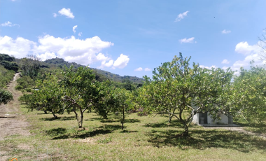 PARCELA DE SUELO SUB-URBANO LINDANTE CON RÍO