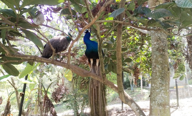 PARCELA DE SUELO SUB-URBANO LINDANTE CON RÍO