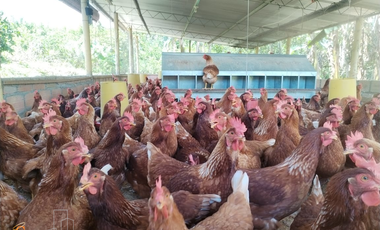 PARCELA DE SUELO SUB-URBANO LINDANTE CON RÍO