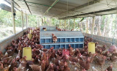 PARCELA DE SUELO SUB-URBANO LINDANTE CON RÍO