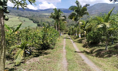 PARCELA DE SUELO SUB-URBANO LINDANTE CON RÍO