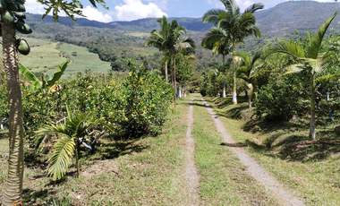 PARCELA DE SUELO SUB-URBANO LINDANTE CON RÍO