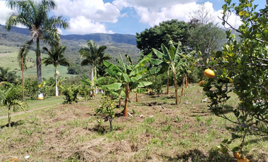 PARCELA DE SUELO SUB-URBANO LINDANTE CON RÍO