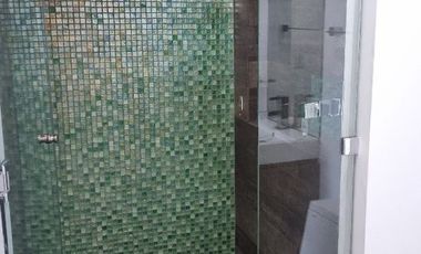 Renta de Departamento Liu