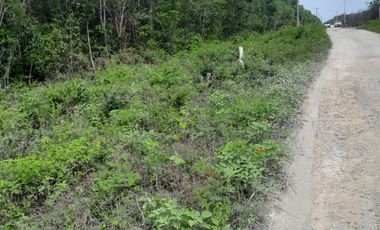 ¡Gran oportunidad! Terreno en venta en Cancún, con excelente ubicación y acceso a las principales avenidas.