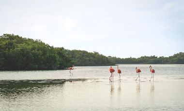 EN VENTA DEPARTAMENTO EN LA PLAYA. CHUBURNA PUERTO, PROGRESO, MERIDA, YUCATAN PRE VENTA