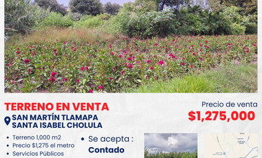 SE VENDE TERRENO EN SAN MARTÍN TLAMAPA, SANTA ISABEL CHOLULA PUEBLA