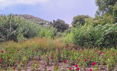 SE VENDE TERRENO EN SAN MARTÍN TLAMAPA, SANTA ISABEL CHOLULA PUEBLA