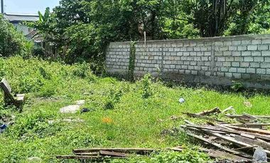 Di Jual Tanah kapling siap bangun 250 M2 yellow zone akses lebar Munggu dekat Canggu