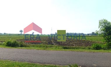 Tanah di Pinggir Jalan Badas Kab Kediri 4 Menit dari Puskesmas Badas