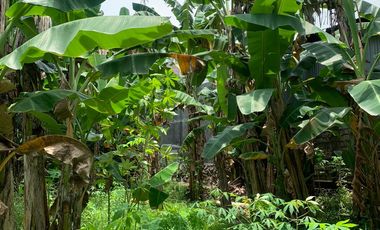 Roadside hotmix land near the Rembiga Hotel