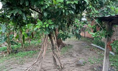 Roadside hotmix land near the Rembiga Hotel