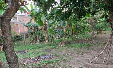 Roadside hotmix land near the Rembiga Hotel