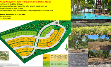 Rush Sale: Anvaya Cove Bamboo Grove Lot: Block 2 Lot 11 426sqm