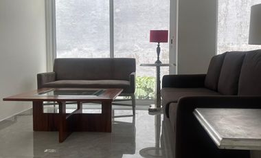 DEPARTAMENTO COLONIA CUAUHTEMOC