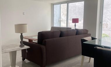 DEPARTAMENTO COLONIA CUAUHTEMOC