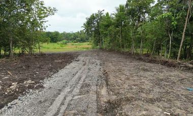 Tanah Dijual Sentolo Dekat Pintu Tol Sentolo