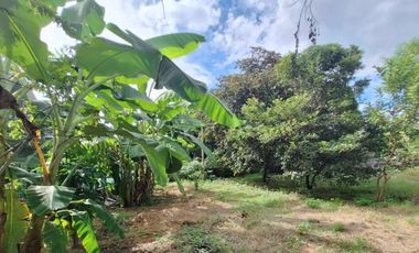 House and Lot with Swimming pool Clean title for Sale in Camiling Tarlac