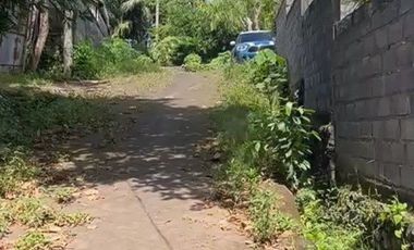 Tanah Riverside di Abiansemal Badung