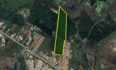 Venta Terreno Estratégico 12ha Vía a Salitre Daule Gran Guayaquil, Ecuador