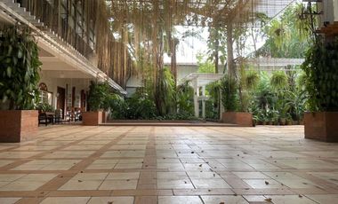 Lot for sale in Barangka Drive, Mandaluyong City