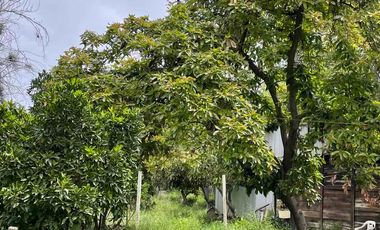 Hermosa  Parcela Aislada mejor sector Paine
