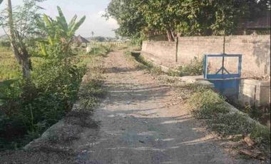 Tanah Sawah Cocok untuk Kavling dan Perumahan