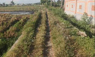 Tanah Sawah Cocok untuk Kavling dan Perumahan