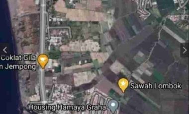 Tanah Sawah Cocok untuk Kavling dan Perumahan